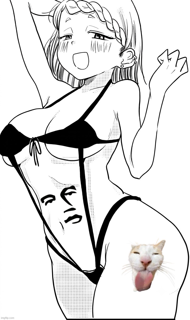RbqTr0H.jpeg