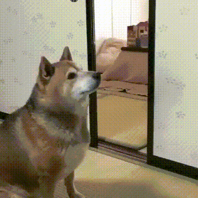 f8d640bc8ac41f4961018366dfc449d3.gif