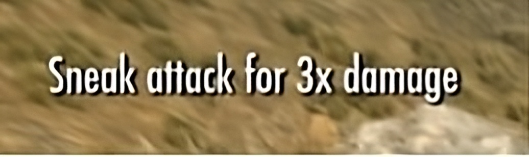 c5qivDZ.jpeg