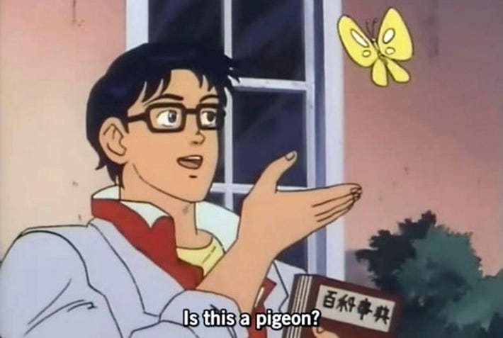 pigeon_meme_fighbird-1200x806.jpg