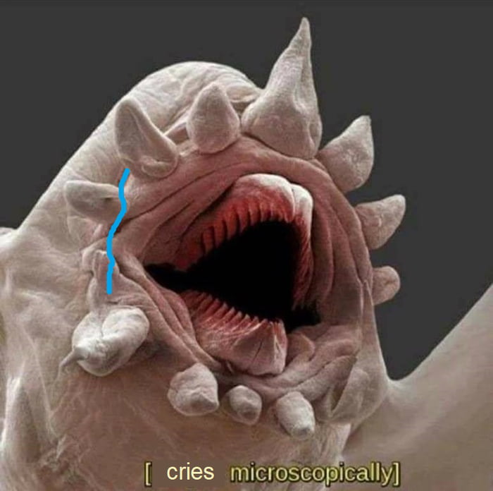 a0NM3BpN_700w_0.jpg