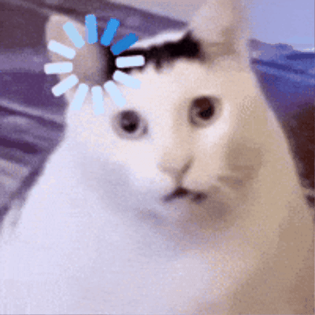 cat-funny.gif