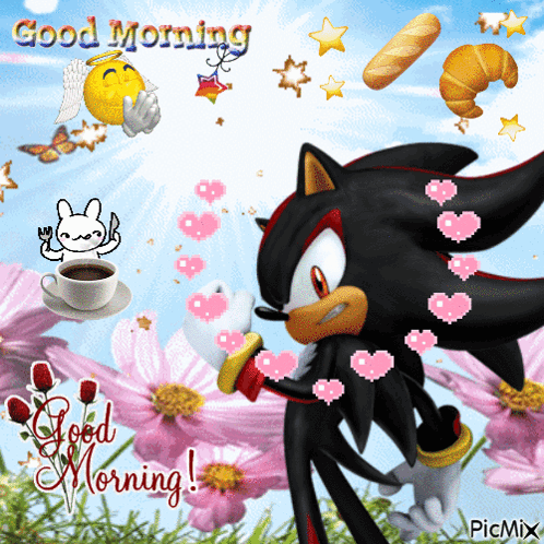 shadow-the-hedgehog-shadow-goodmorning.gif