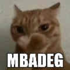468142082ea95f5b747a9d5ae1cc6136.jpg