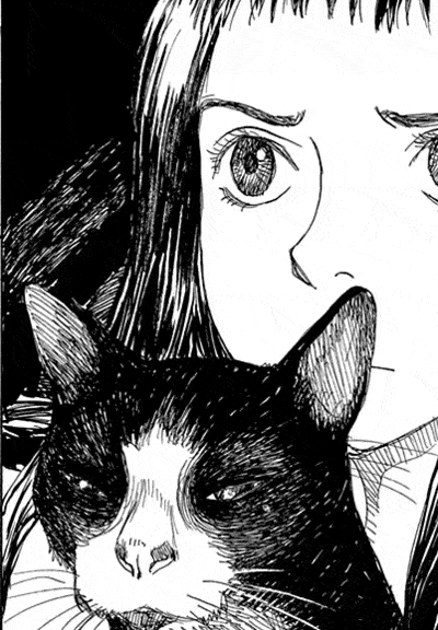 IyvpkuO.gif