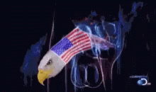america-funny.gif