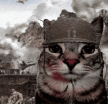 tenor.gif