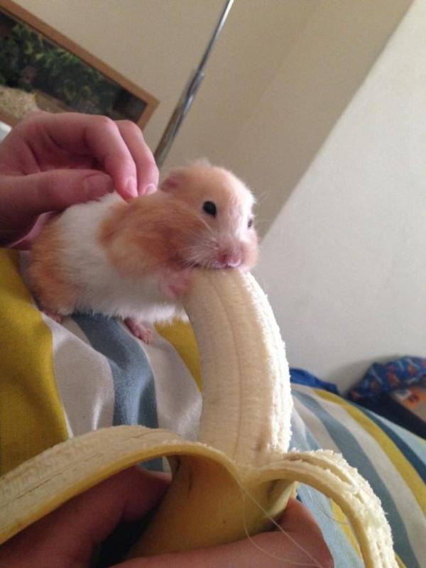 a0MmVR2z_700w_0.jpg
