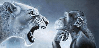 lion-monkey.gif