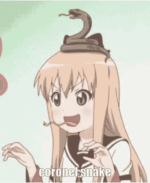 coronel-snake.gif