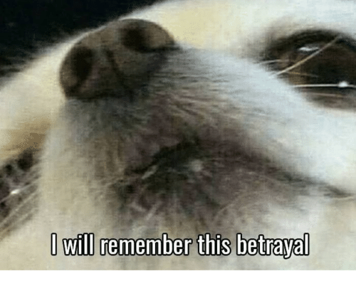ule2r3eqab431.png