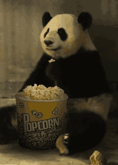 panda-popcorn.gif