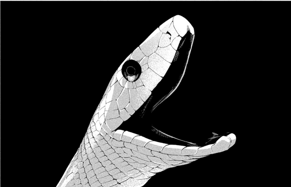 d570580cfaba.png
