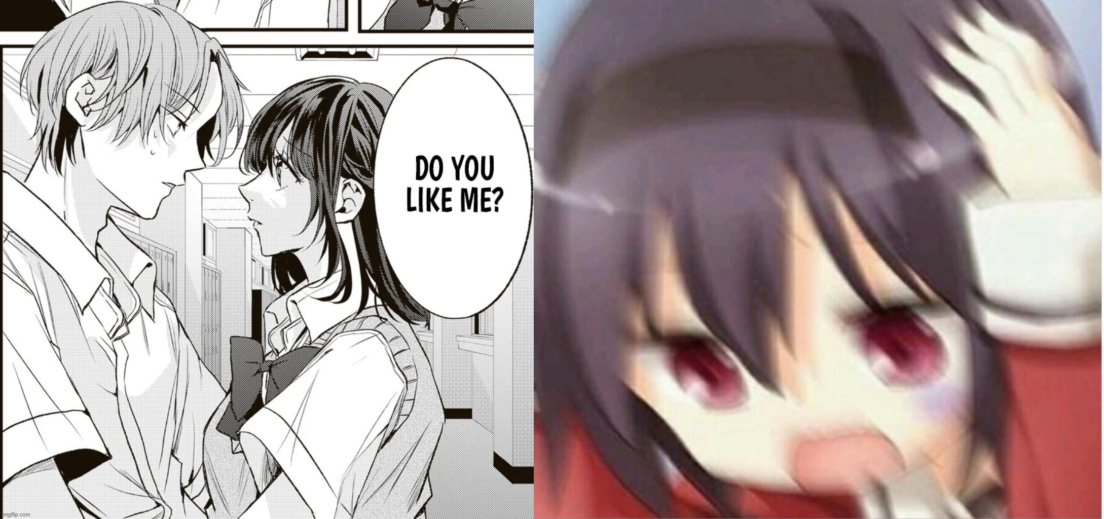 b0g1wk.jpg
