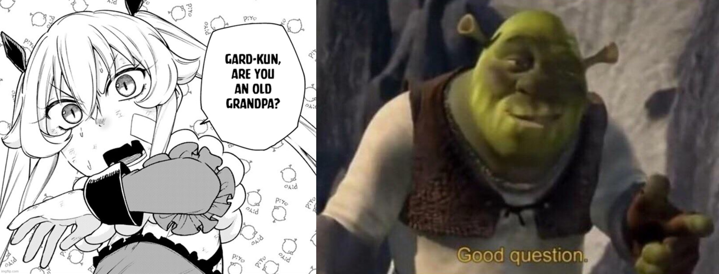 b0rd6q.jpg