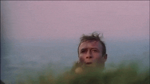 v9oAOq.gif