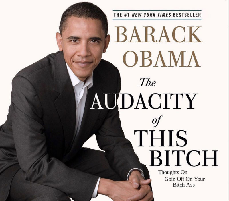 barack-obama-the-audacity-of-this-bitch-book-meme.jpg