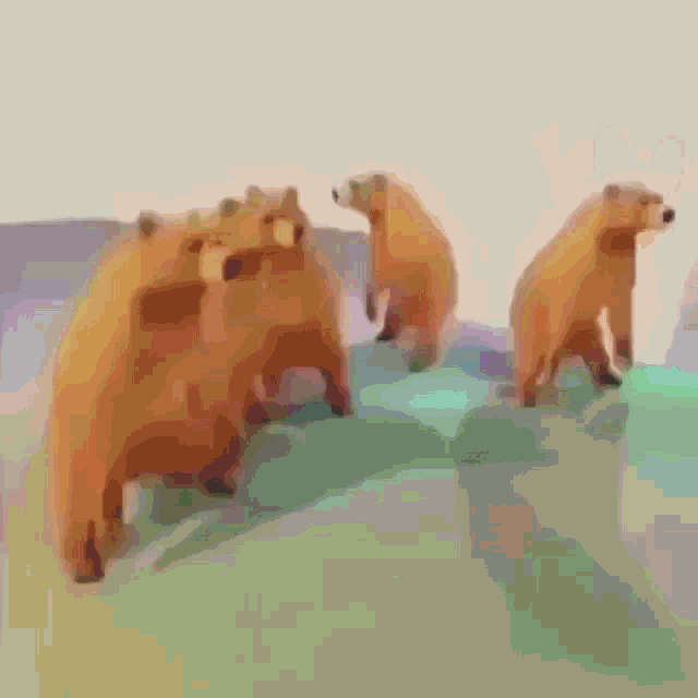 bear-dance.gif