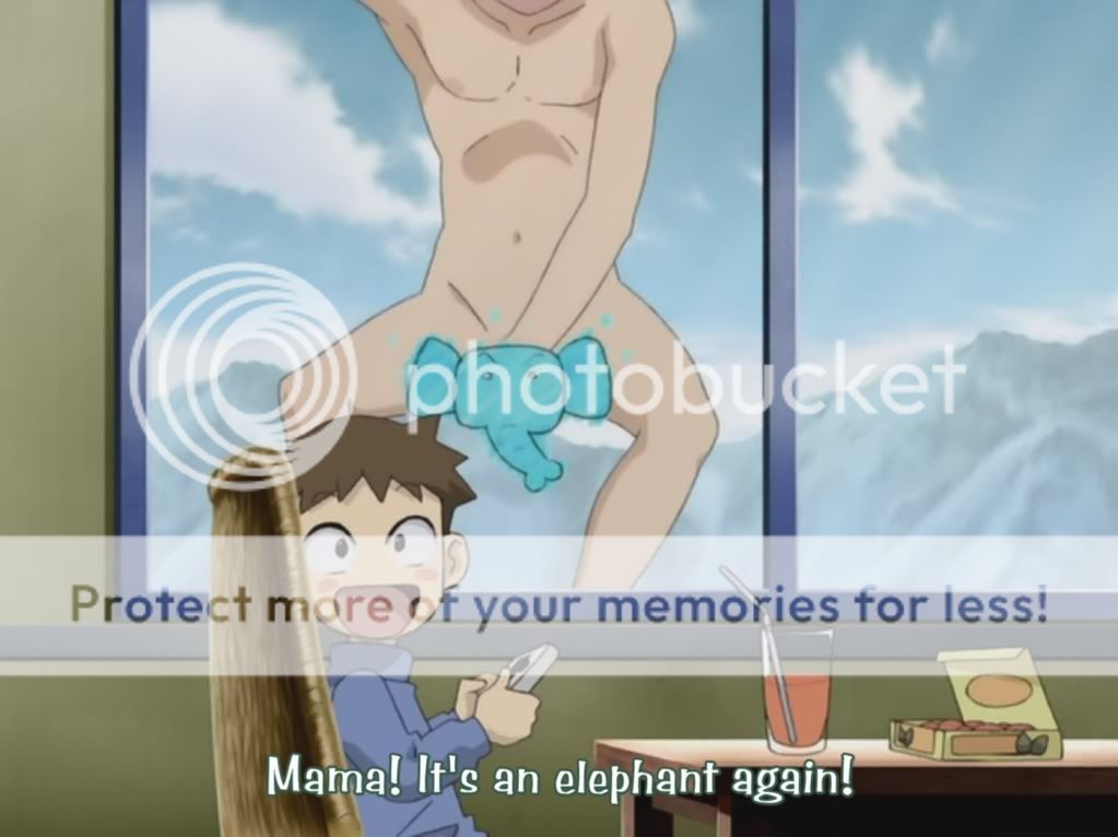 Elephant.jpg