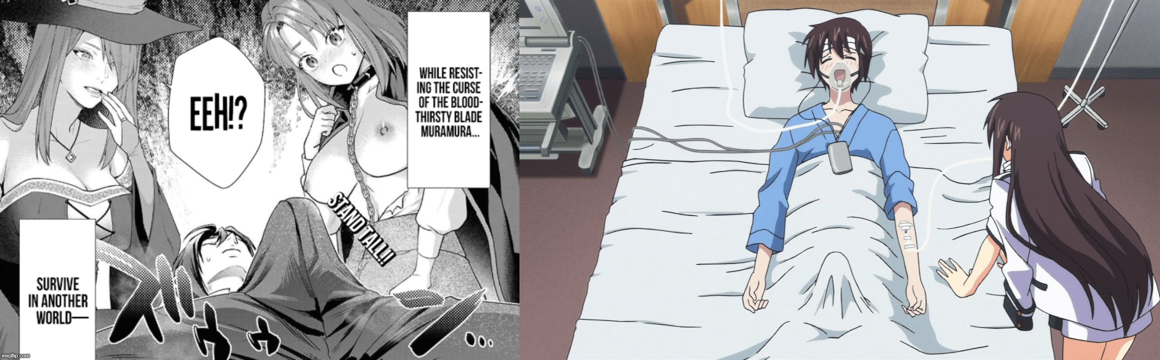 aqtk32.jpg