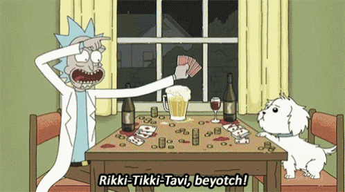 rick-morty.gif