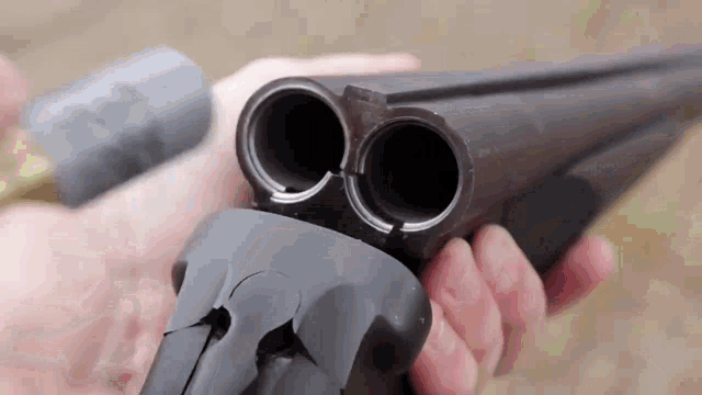 gun-db-shotgun.gif
