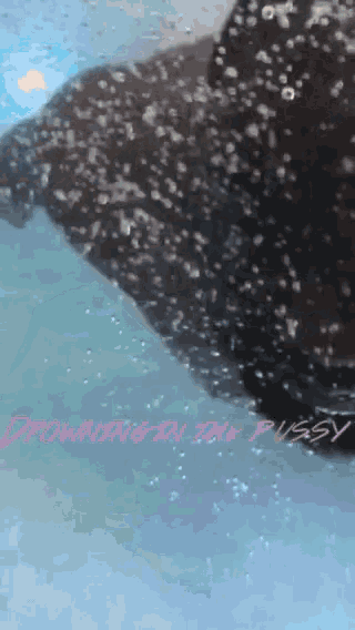 drowning-pussy.gif