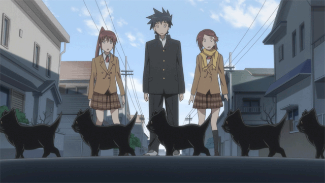 187a0ded1faf19a259bedf876061f95af6572893_hq.gif