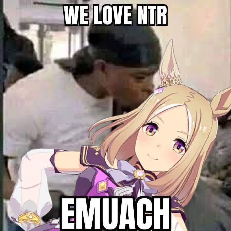 86rhlb4yoqqf1.jpg