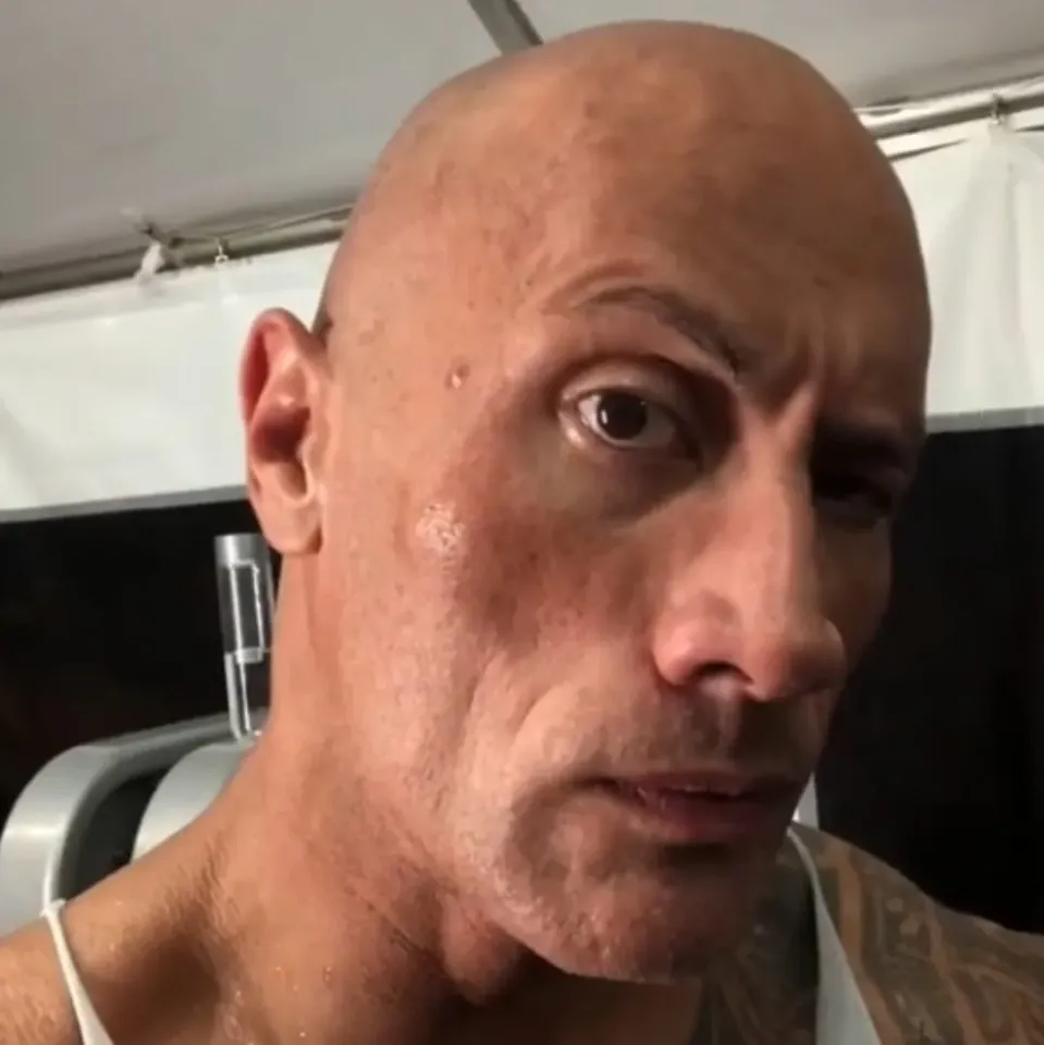 The Rock Eyebrows Meme - Lithophane by Ahmad | Download free STL model |  Printables.com