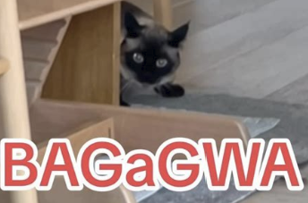 5Bzx49G.png