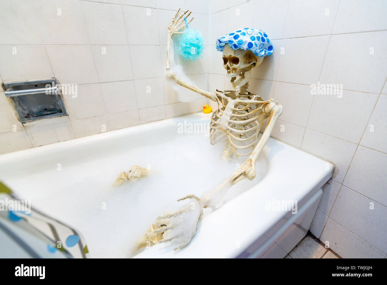 bony-skeleton-taking-a-bubble-bath-in-a-grungy-off-white-dirty-tub-TWJGJH.jpg