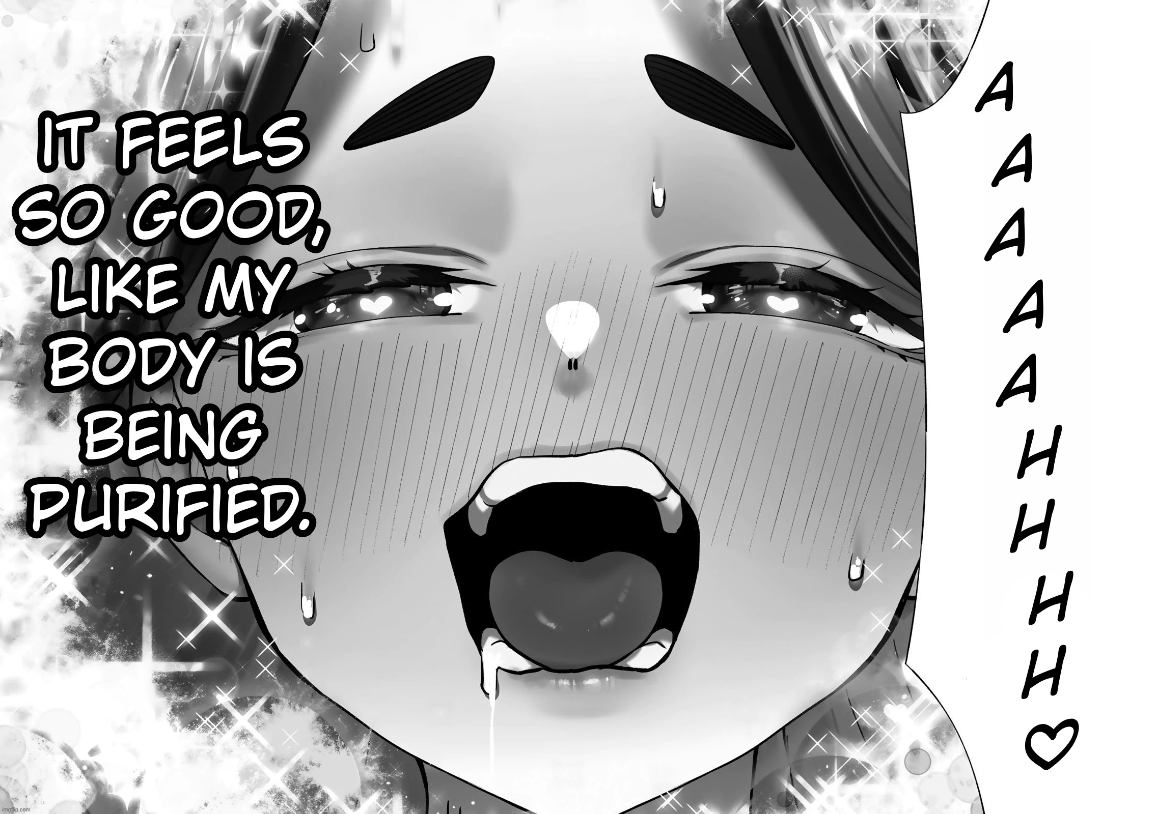 asrh1i.jpg
