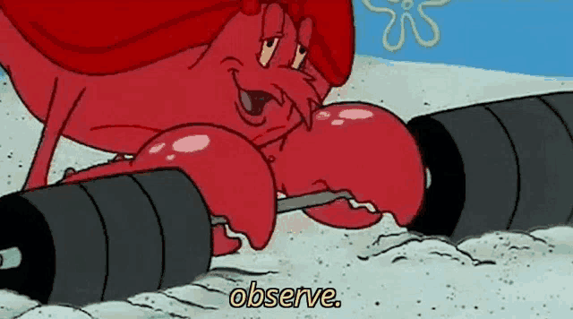 observe-lobster.gif