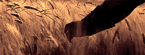 A7WI.gif