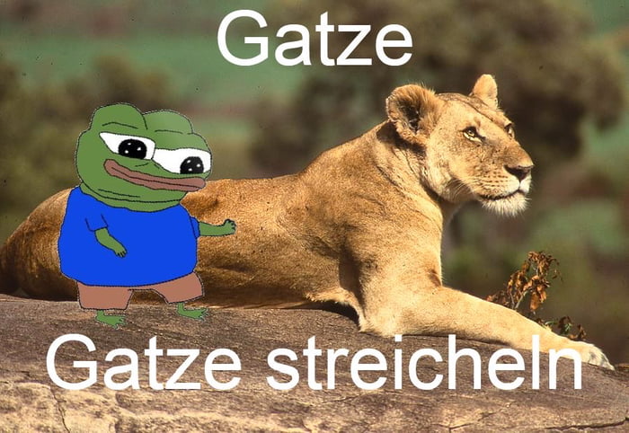 a8qz4NQ_700b.jpg