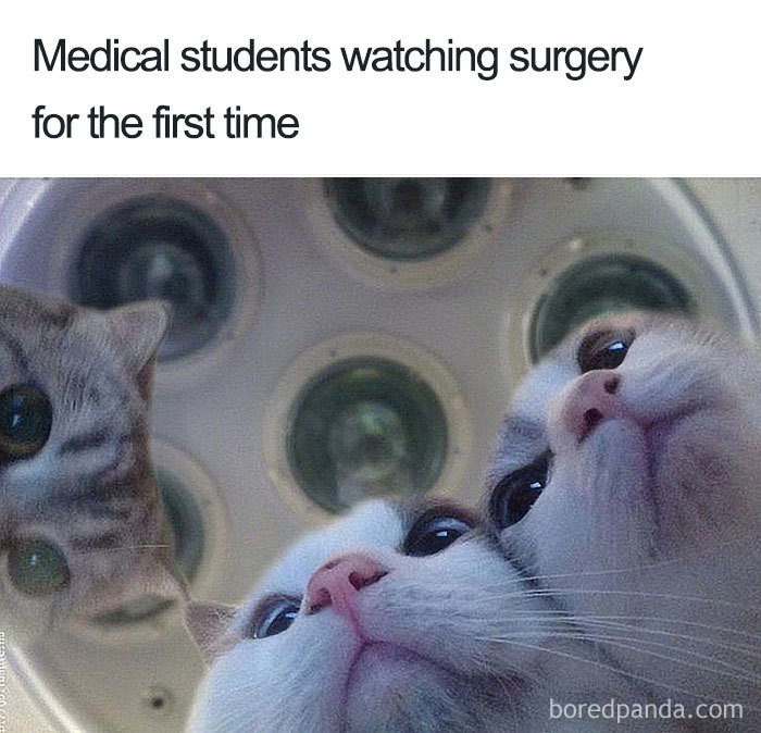 funny-doctors-medical-memes-1004-5b505b84df7ee__700.jpg