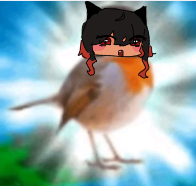 vA6JEuA.png