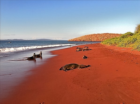 Red-Sand-Beach-Rabida-Galapagos-1.jpg