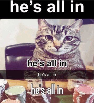 tenor.gif