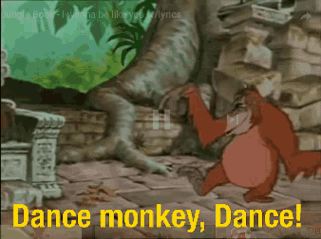 dance-monkey-dance-monkey-dance.gif
