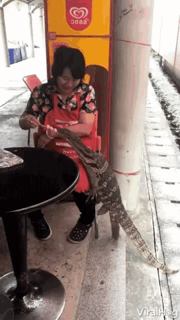 monitor-lizard-has-the-munchies-monitor-lizard.gif