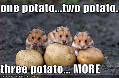 one-potatotwo-potato-three-potato-more