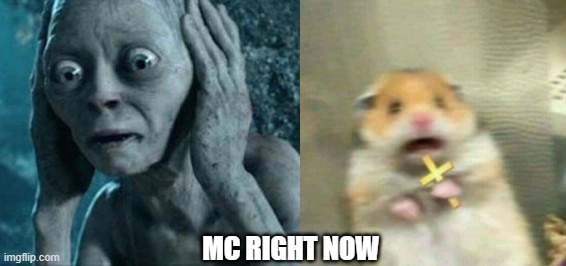 avfhyt.jpg