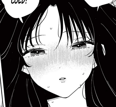 bvsnf4.png