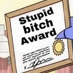 stupid-bitch.gif
