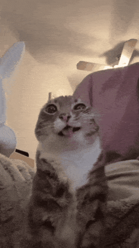 ktp005.gif