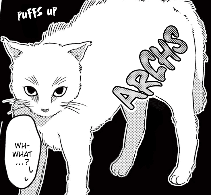43ftrc.png
