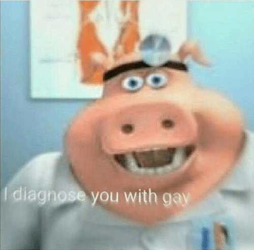 I-diagnose-you-with-gay-meme-7.jpg