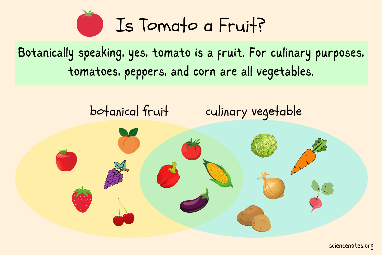 Is-Tomato-a-Fruit.png